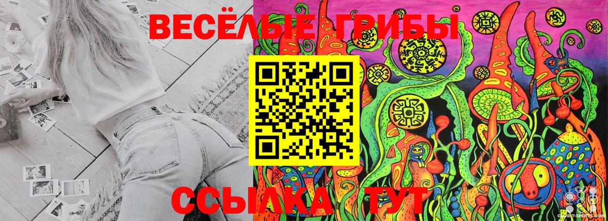 Псилоцибиновые грибы MAGIC MUSHROOMS Люберцы